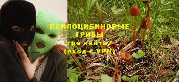 MESCALINE Гусев